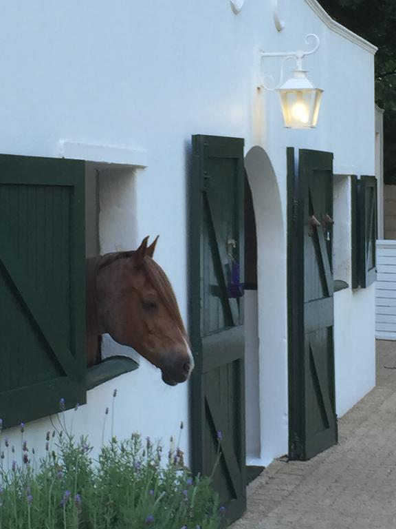 The White Manor Bed & Breakfast Cape Town Eksteriør bilde