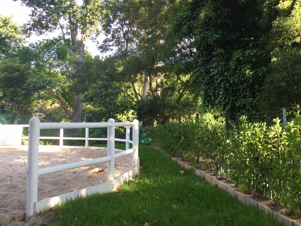 The White Manor Bed & Breakfast Cape Town Eksteriør bilde